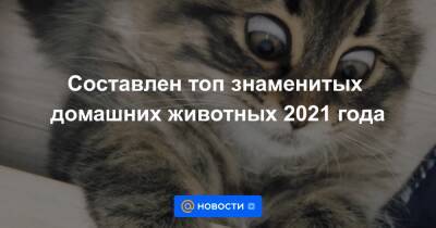Бритни Спирс - Составлен топ знаменитых домашних животных 2021 года - news.mail.ru - Лондон - Япония - Канада