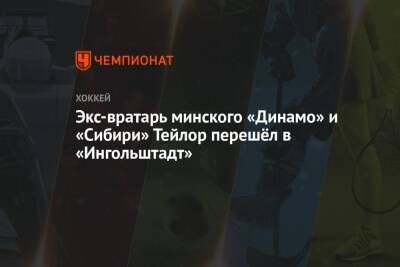 Экс-вратарь минского «Динамо» и «Сибири» Тейлор перешёл в «Ингольштадт» - championat.com - Белоруссия - Германия - Финляндия - Минск
