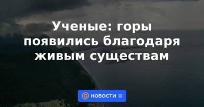 Ученые: горы появились благодаря живым существам - news.mail.ru