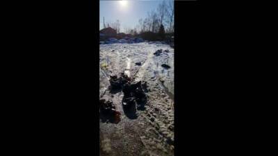 Загадку исчезнувших мусорных баков разгадывали южносахалинцы - sakhalin.info