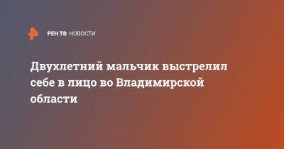 Двухлетний мальчик выстрелил себе в лицо во Владимирской области - ren.tv - Москва - Владимирская обл.