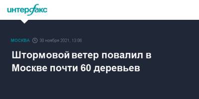Петр Бирюков - Штормовой ветер повалил в Москве почти 60 деревьев - interfax.ru - Москва