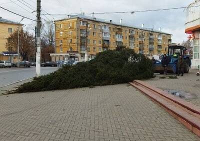 У Полетаевского рынка упала новогодняя елка - ya62.ru - Рязань