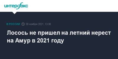 Лосось не пришел на летний нерест на Амур в 2021 году - interfax.ru - Москва - Хабаровский край