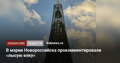 В мэрии Новороссийска прокомментировали «лысую елку» - kubnews.ru - Новороссийск - Благоустройство