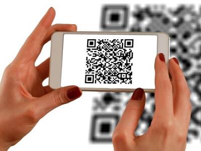 Комитет Совфеда поддержал концепцию законопроекта о QR-кодах - newsland.com - Москва