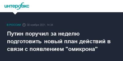 Владимир Путин - Путин поручил за неделю подготовить новый план действий в связи с появлением "омикрона" - interfax.ru - Москва - Россия