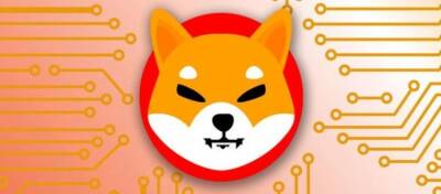 Биржа Kraken объявила о листинге Shiba Inu: цена выросла на 25% - altcoin.info - США