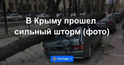 В Крыму прошел сильный шторм (фото) - news.mail.ru - Россия - Крым