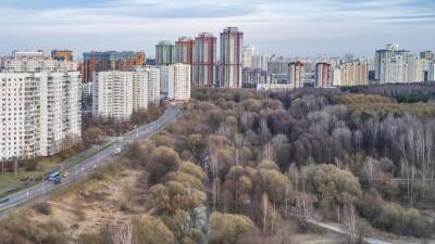 Владимир Ефимов - В Москве рассказали о работе по демонтажу самостроев на особо охраняемых территориях - russian.rt.com - Москва
