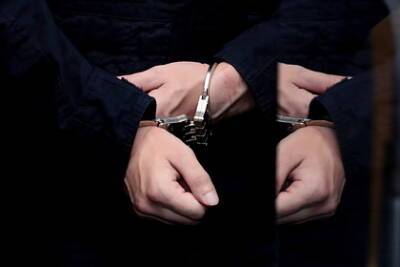 Российскому следователю дали 13 лет за взятку в 100 тысяч долларов - lenta.ru - Крым