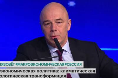 Антон Силуанов - Российские власти не увидели пользы от возможного снижения налогов - lenta.ru - Россия