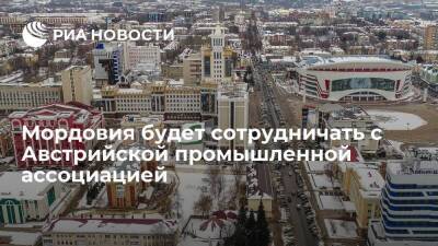 Артем Здунов - Мордовия будет сотрудничать с Австрийской промышленной ассоциацией - smartmoney.one - Австрия - Россия - республика Мордовия