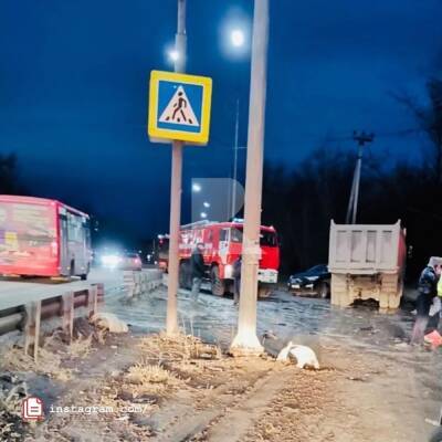 Погибшими в ДТП на остановке «Химволокно» Рязани оказались две женщины - 7info.ru - Рязань