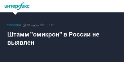 Михаил Мишустин - Анна Попова - Штамм "омикрон" в России не выявлен - interfax.ru - Москва - Россия