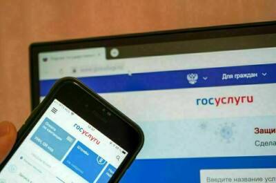 Более 20 миллионов сим-карт прошли процедуру активации на «Госуслугах» - pnp.ru - Россия