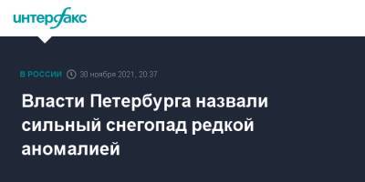 Власти Петербурга назвали сильный снегопад редкой аномалией - interfax.ru - Москва - Санкт-Петербург - Петербург