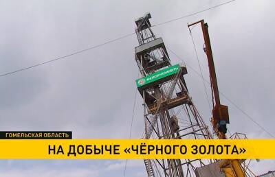 Планерки в полевых условиях и любовь к своему делу. Как выглядит рабочий день белорусского вышкомонтажника? - ont.by - Белоруссия