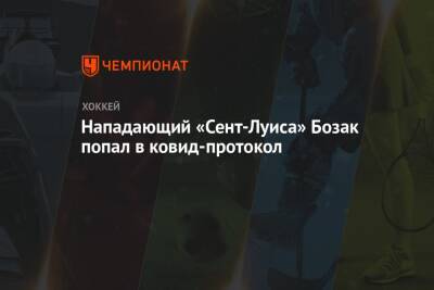 Нападающий «Сент-Луиса» Бозак попал в ковид-протокол - championat.com