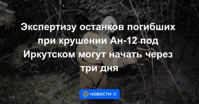 Игорь Кобзев - Экспертизу останков погибших при крушении Ан-12 под Иркутском могут начать через три дня - news.mail.ru - Иркутская обл. - Иркутск