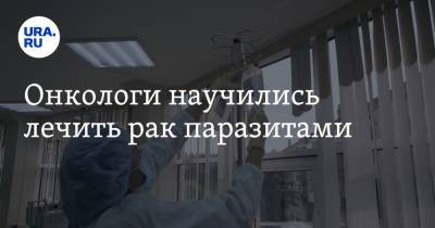 Онкологи научились лечить рак паразитами - ura.news - Китай