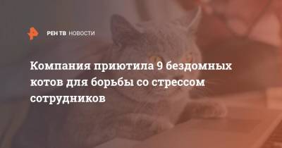 Компания приютила 9 бездомных котов для борьбы со стрессом сотрудников - ren.tv - Япония