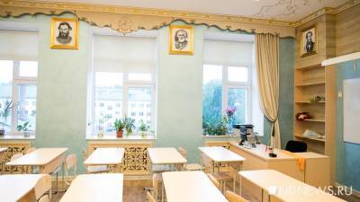 СМИ: школьников 5-11 классов переведут на дистант - newdaynews.ru - Екатеринбург - Свердловская обл.