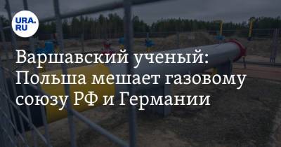 Варшавский ученый: Польша мешает газовому союзу РФ и Германии - ura.news - Москва - Россия - Киев - Вашингтон - Германия - Польша - Варшава - ?