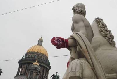 Нарядивших статуи Петербурга в варежки мужчин отпустили после задержания - online47.ru - Санкт-Петербург - Всеволожск