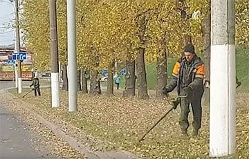 Андрей Козлов - В ЖКХ «объяснили», почему коммунальщики так часто косят опавшие листья и снег - charter97.org - Белоруссия