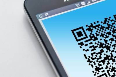 Вячеслав Гладков - В Белгородской области ввели QR-коды для посещения организаций сферы услуг - mk.ru - Белгородская обл.