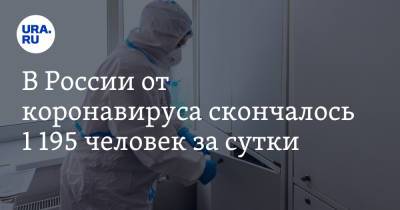 В России от коронавируса скончалось 1 195 человек за сутки - ura.news - Москва - Россия