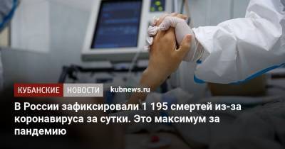 В России зафиксировали 1 195 смертей из-за коронавируса за сутки. Это максимум за пандемию - kubnews.ru - Россия - Санкт-Петербург - Краснодарский край - Московская обл. - Нижегородская обл. - Пермский край