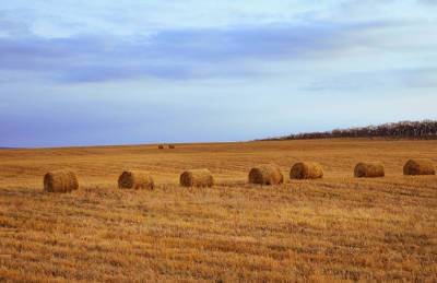 Цена гектара во Львовской области выше средней по стране на 70% - agroportal.ua - Украина - Львовская обл.