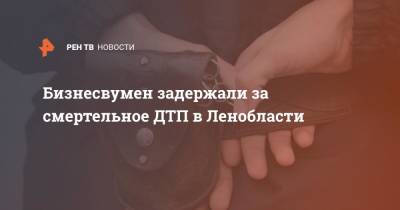 Бизнесвумен задержали за смертельное ДТП в Ленобласти - ren.tv - Ленинградская обл. - Санкт-Петербург - Пески