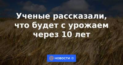 Ученые рассказали, что будет с урожаем через 10 лет - news.mail.ru - США