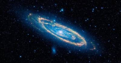 Астрономы выяснили, почему в центре галактика Андромеды имеет странную форму - focus.ua - Украина