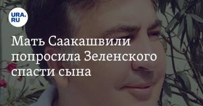 Владимир Зеленский - Михаил Саакашвили - Мать Саакашвили попросила Зеленского спасти сына - ura.news - Россия - Украина - Грузия