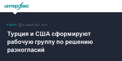 Реджеп Тайип Эрдоган - Мевлют Чавушоглу - Джо Байден - Турция и США сформируют рабочую группу по решению разногласий - interfax.ru - Москва - США - Турция - Анкара - Рим