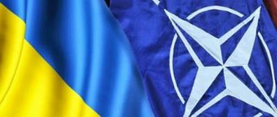 Андрей Мельник - Посол назвал дату, когда Украина рассчитывает вступить в НАТО - w-n.com.ua - Украина - Германия - Берлин