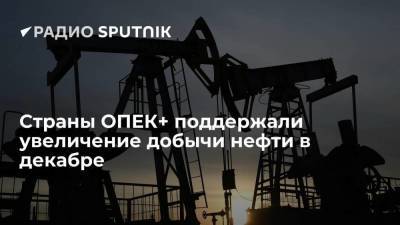 Страны ОПЕК+ выступили за продление плана нефтедобычи на декабрь - smartmoney.one