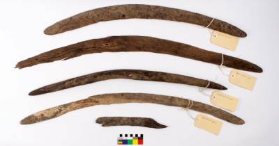 В Австралии обнаружили древние бумеранги, которые использовались не по назначению (фото) - focus.ua - Украина - Австралия - Франция