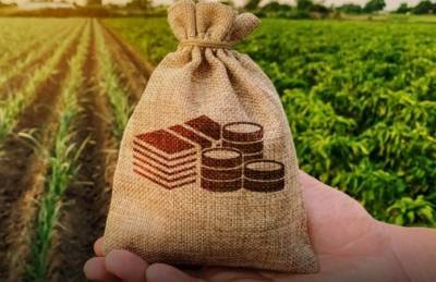 Рада приняла закон о фонде гарантирования кредитов фермерам - agroportal.ua - Украина