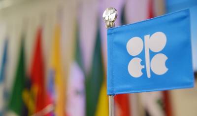 Джо Байден - ОПЕК+ поддержала наращивание нефтедобычи в декабре - newizv.ru - Россия - США