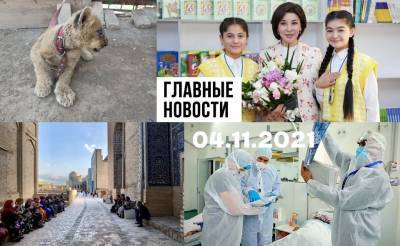 Летят головы, живодеры на колесах и буря мглою небо кроет. Новости Узбекистана: главное на 4 ноября - podrobno.uz - Узбекистан - Ташкент