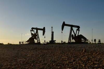 Александр Новак - В России назвали объективную цену на нефть - lenta.ru - Россия