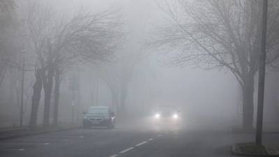 Роман Вильфанд - Автомобилистов предупредили о густом тумане в столице ночью 5 ноября - vm.ru - Москва