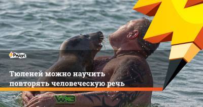 Тюленей можно научить повторять человеческую речь - ridus.ru - Голландия