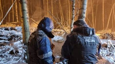 В районе крушения самолета Ан-12 обнаружены останки всех девяти погибших - vm.ru - Иркутская обл. - Якутск - Иркутск