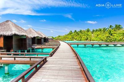 Asialuxe Travel назвал пять причин выбрать Мальдивы для отпуска этой зимой - gazeta.uz - Узбекистан - Мальдивы